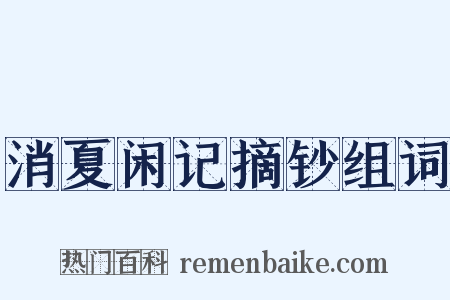 消夏闲记摘钞组词是什么意思的图片